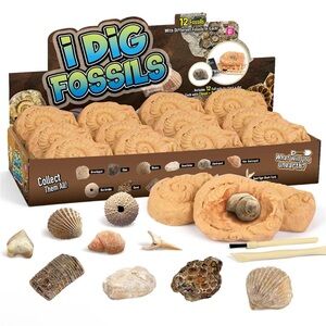 Real Fossil Dig Kit - Educational STEM Science Toys Dig Kit Set for Kids New